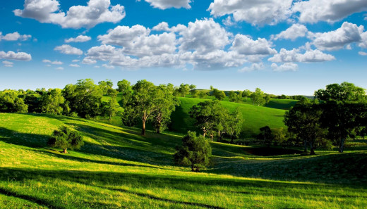 606830 (a): :2090x1193
